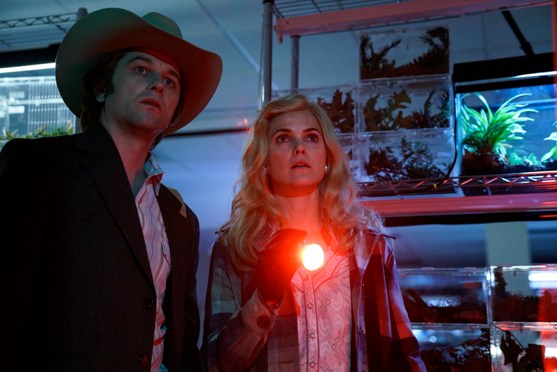 The Americans (Photo: Patrick Harbron/FX)